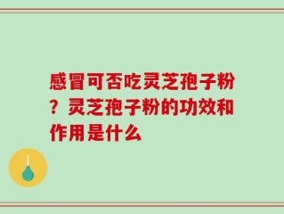 感冒可否吃灵芝孢子粉？灵芝孢子粉的功效和作用是什么