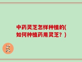中药灵芝怎样种植的(如何种植药用灵芝？)