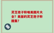 灵芝孢子粉唯美图片大全？美丽的灵芝孢子粉图集？