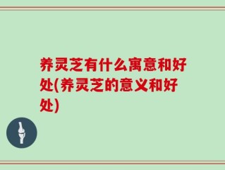 养灵芝有什么寓意和好处(养灵芝的意义和好处)