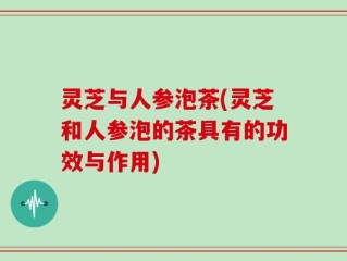 灵芝与人参泡茶(灵芝和人参泡的茶具有的功效与作用)