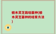 椴木灵芝栽培菌种(椴木灵芝菌种的培育方法)