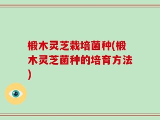 椴木灵芝栽培菌种(椴木灵芝菌种的培育方法)