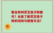 联合邦利灵芝孢子粉图片？全面了解灵芝孢子粉的功效与使用方法？