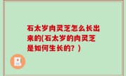 石太岁肉灵芝怎么长出来的(石太岁的肉灵芝是如何生长的？)