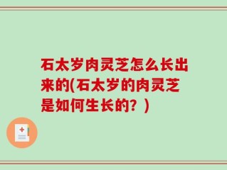 石太岁肉灵芝怎么长出来的(石太岁的肉灵芝是如何生长的？)