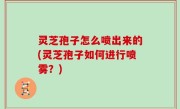 灵芝孢子怎么喷出来的(灵芝孢子如何进行喷雾？)