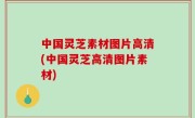 中国灵芝素材图片高清(中国灵芝高清图片素材)