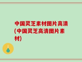 中国灵芝素材图片高清(中国灵芝高清图片素材)