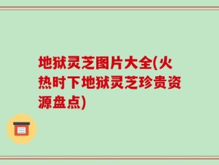 地狱灵芝图片大全(火热时下地狱灵芝珍贵资源盘点)