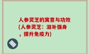 人参灵芝的寓意与功效(人参灵芝：滋补强身，提升免疫力)