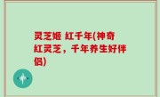 灵芝姬 红千年(神奇红灵芝，千年养生好伴侣)