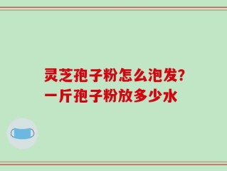 灵芝孢子粉怎么泡发？一斤孢子粉放多少水