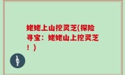 姥姥上山挖灵芝(探险寻宝：姥姥山上挖灵芝！)