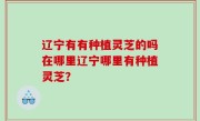 辽宁有有种植灵芝的吗在哪里辽宁哪里有种植灵芝？