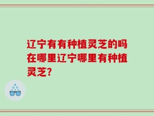 辽宁有有种植灵芝的吗在哪里辽宁哪里有种植灵芝？