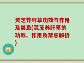 灵芝养肝草功效与作用及禁忌(灵芝养肝草的功效、作用及禁忌解析)