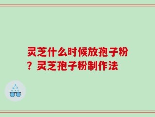 灵芝什么时候放孢子粉？灵芝孢子粉制作法