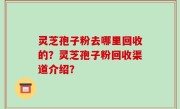 灵芝孢子粉去哪里回收的？灵芝孢子粉回收渠道介绍？