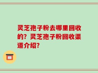 灵芝孢子粉去哪里回收的？灵芝孢子粉回收渠道介绍？