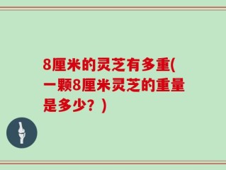 8厘米的灵芝有多重(一颗8厘米灵芝的重量是多少？)