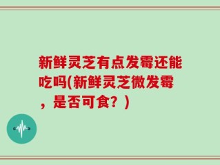 新鲜灵芝有点发霉还能吃吗(新鲜灵芝微发霉，是否可食？)
