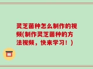 灵芝菌种怎么制作的视频(制作灵芝菌种的方法视频，快来学习！)