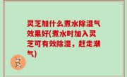 灵芝加什么煮水除湿气效果好(煮水时加入灵芝可有效除湿，赶走潮气)