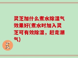 灵芝加什么煮水除湿气效果好(煮水时加入灵芝可有效除湿，赶走潮气)