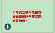 千年灵芝被蜈蚣精吃(蜈蚣精偷吃千年灵芝，后果如何？)