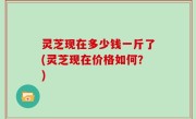 灵芝现在多少钱一斤了(灵芝现在价格如何？)