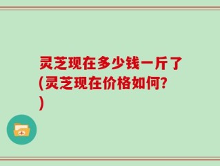 灵芝现在多少钱一斤了(灵芝现在价格如何？)