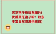 灵芝孢子粉敖东图片(优质灵芝孢子粉：敖东丰富自然资源供应商)