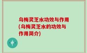 乌梅灵芝水功效与作用(乌梅灵芝水的功效与作用简介)