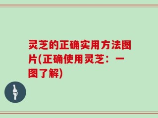 灵芝的正确实用方法图片(正确使用灵芝：一图了解)