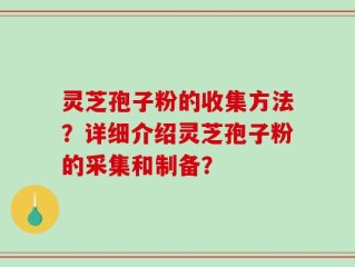 灵芝孢子粉的收集方法？详细介绍灵芝孢子粉的采集和制备？