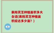 襄阳灵芝种植面积多大合适(襄阳灵芝种植面积应达多少亩？)
