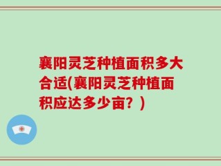 襄阳灵芝种植面积多大合适(襄阳灵芝种植面积应达多少亩？)