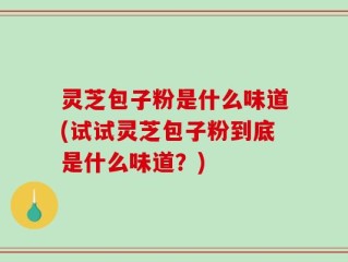 灵芝包子粉是什么味道(试试灵芝包子粉到底是什么味道？)