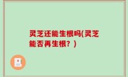 灵芝还能生根吗(灵芝能否再生根？)