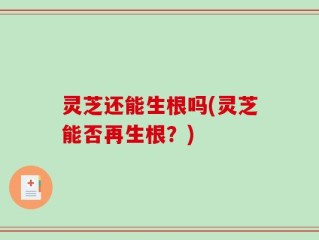 灵芝还能生根吗(灵芝能否再生根？)
