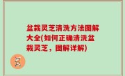 盆栽灵芝清洗方法图解大全(如何正确清洗盆栽灵芝，图解详解)