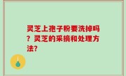 灵芝上孢子粉要洗掉吗？灵芝的采摘和处理方法？