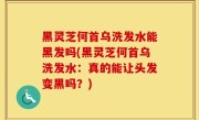 黑灵芝何首乌洗发水能黑发吗(黑灵芝何首乌洗发水：真的能让头发变黑吗？)