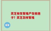 灵芝有性繁殖产生担孢子？灵芝怎样繁殖