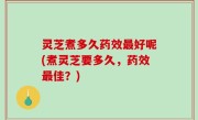 灵芝煮多久药效最好呢(煮灵芝要多久，药效最佳？)