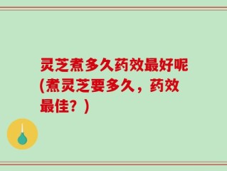 灵芝煮多久药效最好呢(煮灵芝要多久，药效最佳？)