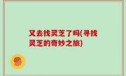 又去找灵芝了吗(寻找灵芝的奇妙之旅)