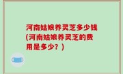 河南姑娘养灵芝多少钱(河南姑娘养灵芝的费用是多少？)