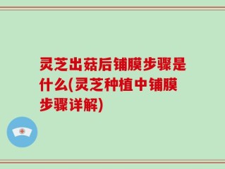 灵芝出菇后铺膜步骤是什么(灵芝种植中铺膜步骤详解)